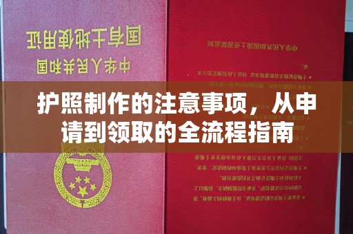 颍泉护照制作的注意事项，从申请到领取的全流程指南