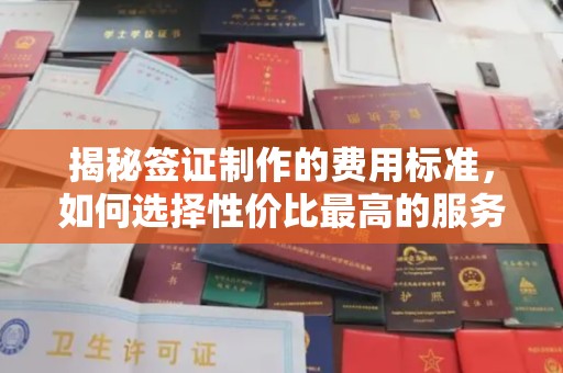 颍泉揭秘签证制作的费用标准，如何选择性价比最高的服务？