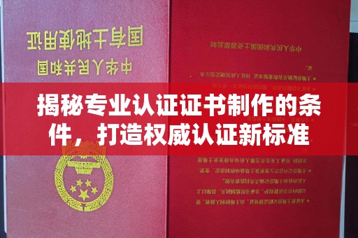 颍泉揭秘专业认证证书制作的条件，打造权威认证新标准