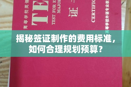 颍泉揭秘签证制作的费用标准，如何合理规划预算？