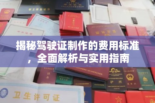 颍泉揭秘驾驶证制作的费用标准，全面解析与实用指南