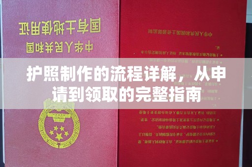 颍泉护照制作的流程详解，从申请到领取的完整指南