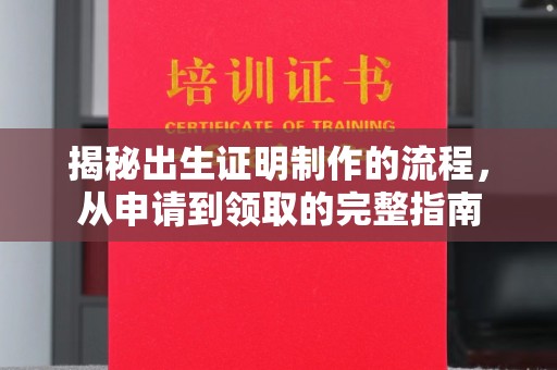 颍泉揭秘出生证明制作的流程，从申请到领取的完整指南