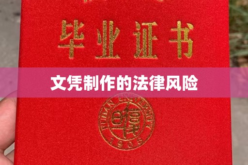 颍泉文凭制作的法律风险