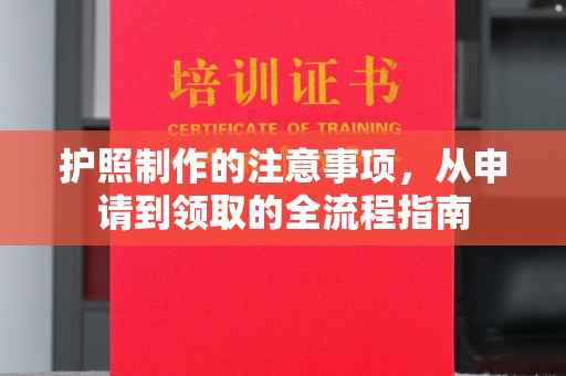 颍泉护照制作的注意事项，从申请到领取的全流程指南