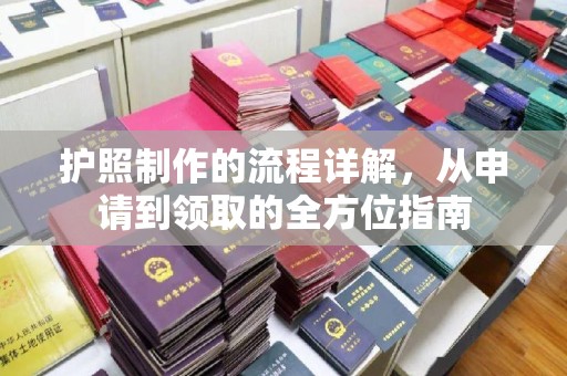 颍泉护照制作的流程详解，从申请到领取的全方位指南